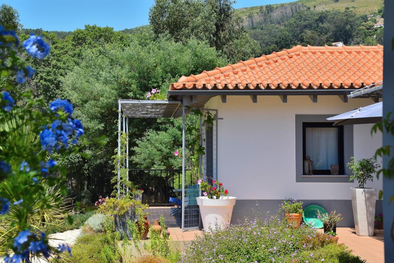 Apartamento Pirilampo Monchique Exterior foto