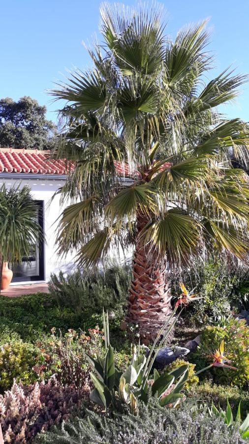 Apartamento Pirilampo Monchique Exterior foto