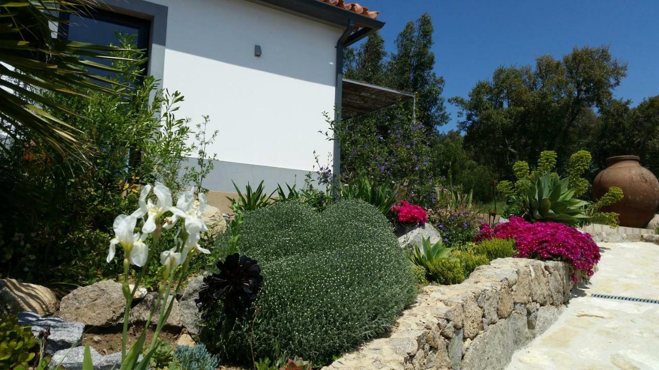 Apartamento Pirilampo Monchique Exterior foto